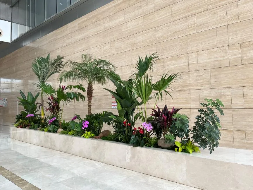 余姚花木租赁专业强，给您优质花卉租赁体验